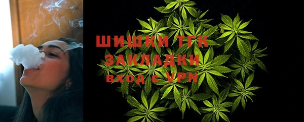 ГАЛЛЮЦИНОГЕННЫЕ ГРИБЫ Переславль-Залесский