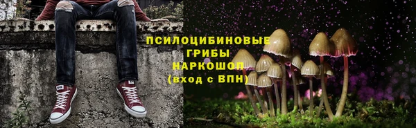 гидра Остров